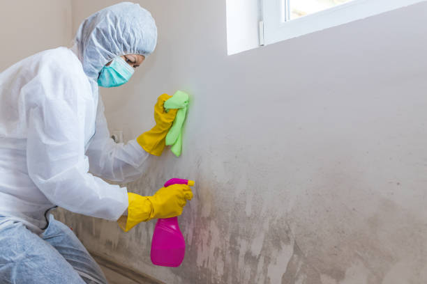  West Perrine, FL Mold Removal & Remediation Pros