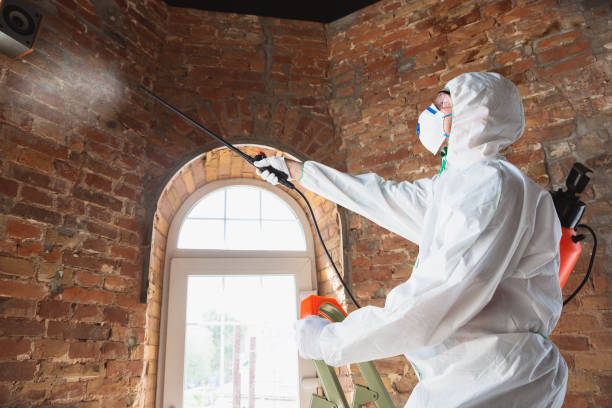 Best Comprehensive Air Testing for Mold Contaminants  in West Perrine, FL