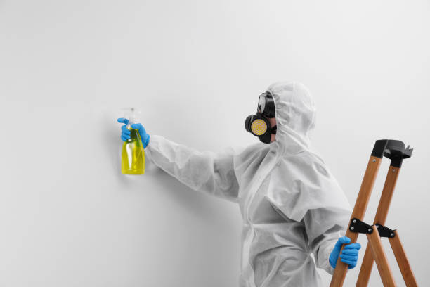 Reliable West Perrine, FL Mold Removal & Remediation Solutions