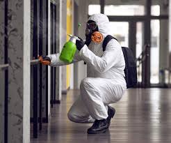 Best Asbestos and Lead Testing During Mold Inspection  in West Perrine, FL